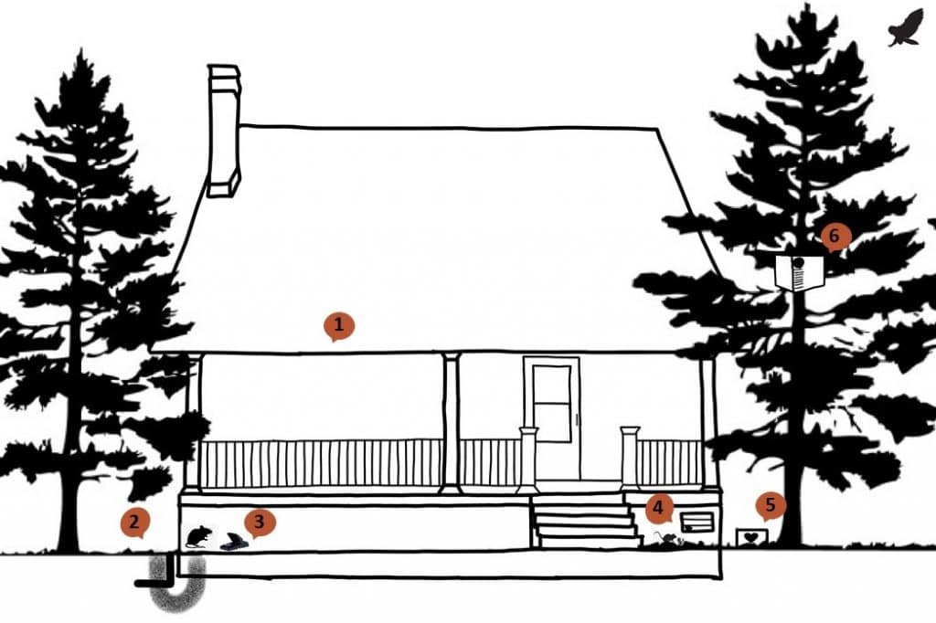 Rodent bait station near the house foundation for pest control.