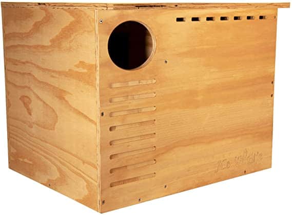 Wooden pest trap box for humane insect capture with ventilation slits and a entry hole, used in natural pest control solutions.
