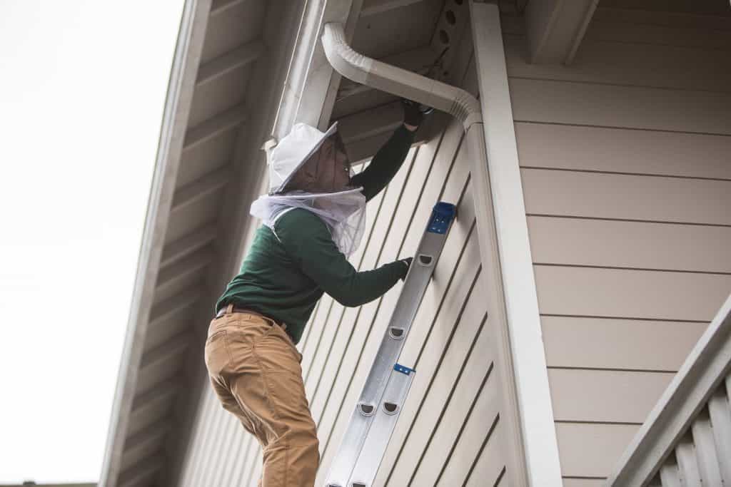 Exterminator inspecting and repairing home exterior for pest control at eaves and gutters.