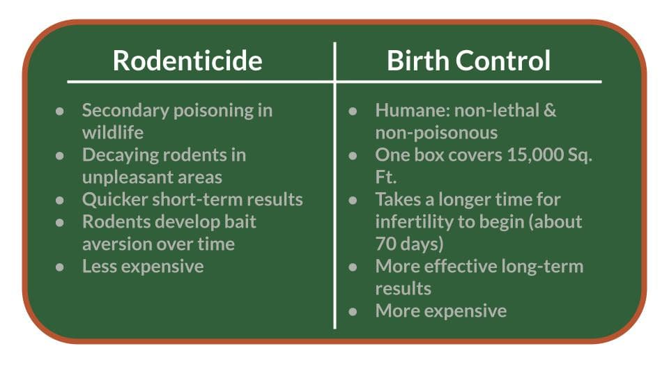 Rodenticide and birth control comparison chart at Campbell Natural Pest Control for eco-friendly pest management solutions.