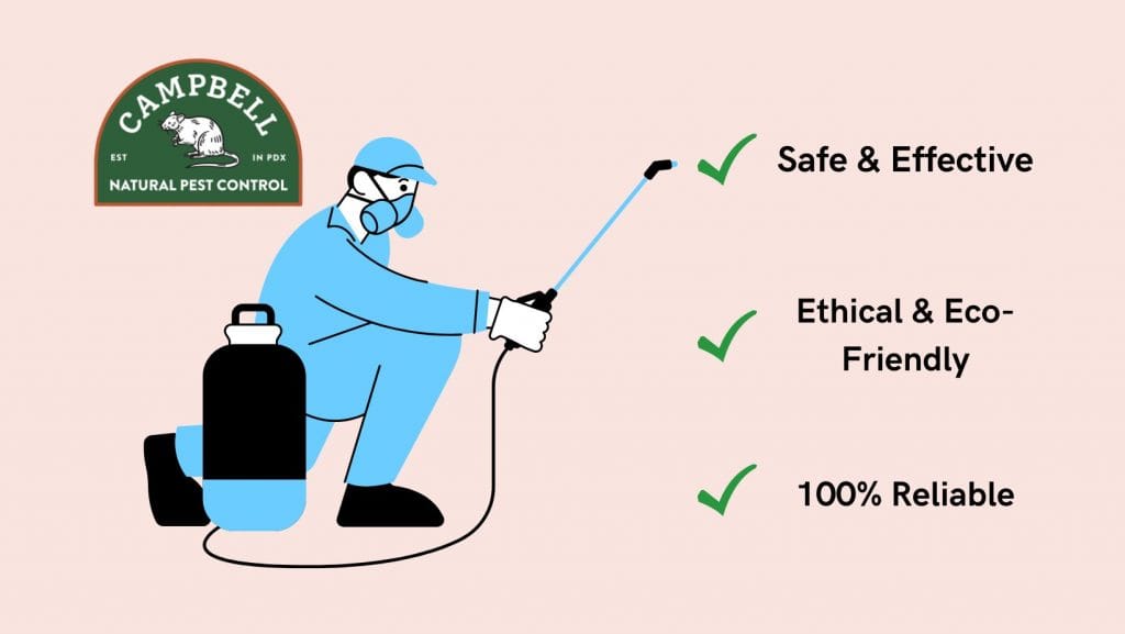 pest-exterminator-gladstone-infographic