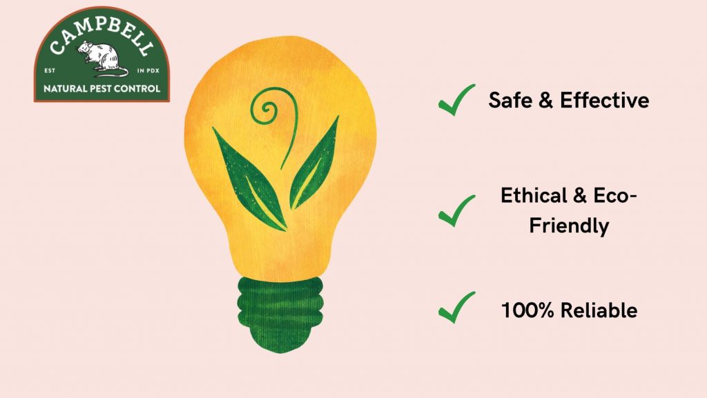 eco-friendly-pest-control-in-gresham