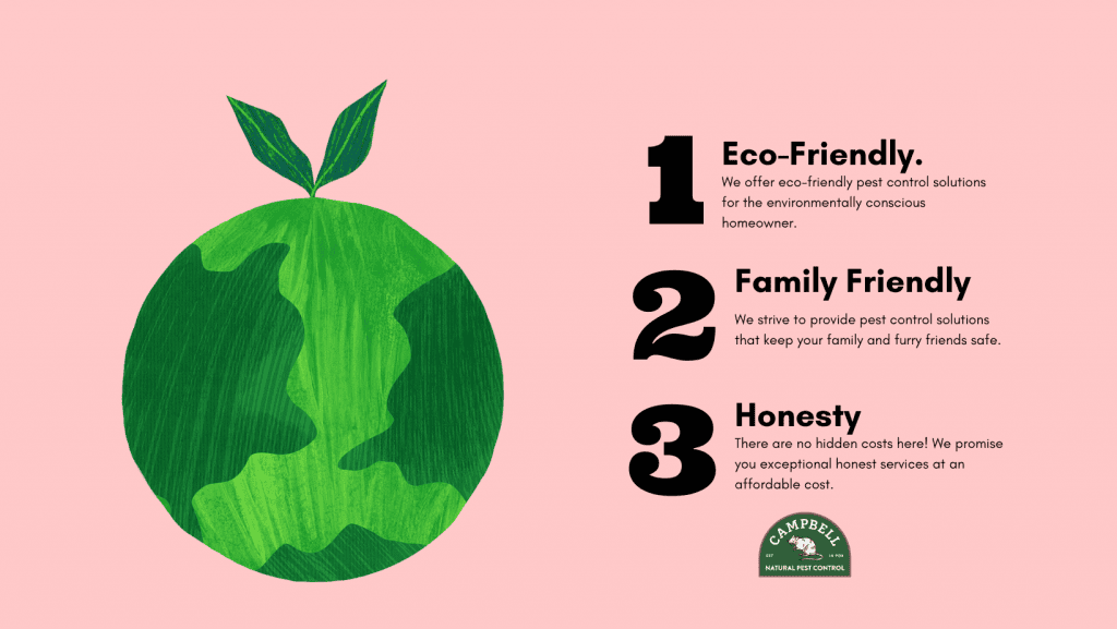 campbell-eco-friendly-pest-control-service