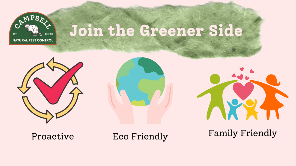 Protective pest control using eco-friendly, natural methods by Campbell Natural Pest Control with family-friendly services in Portland.