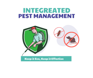 Pest control technician applying eco-friendly pest management solutions with illustration of insect and rodent exclusion.