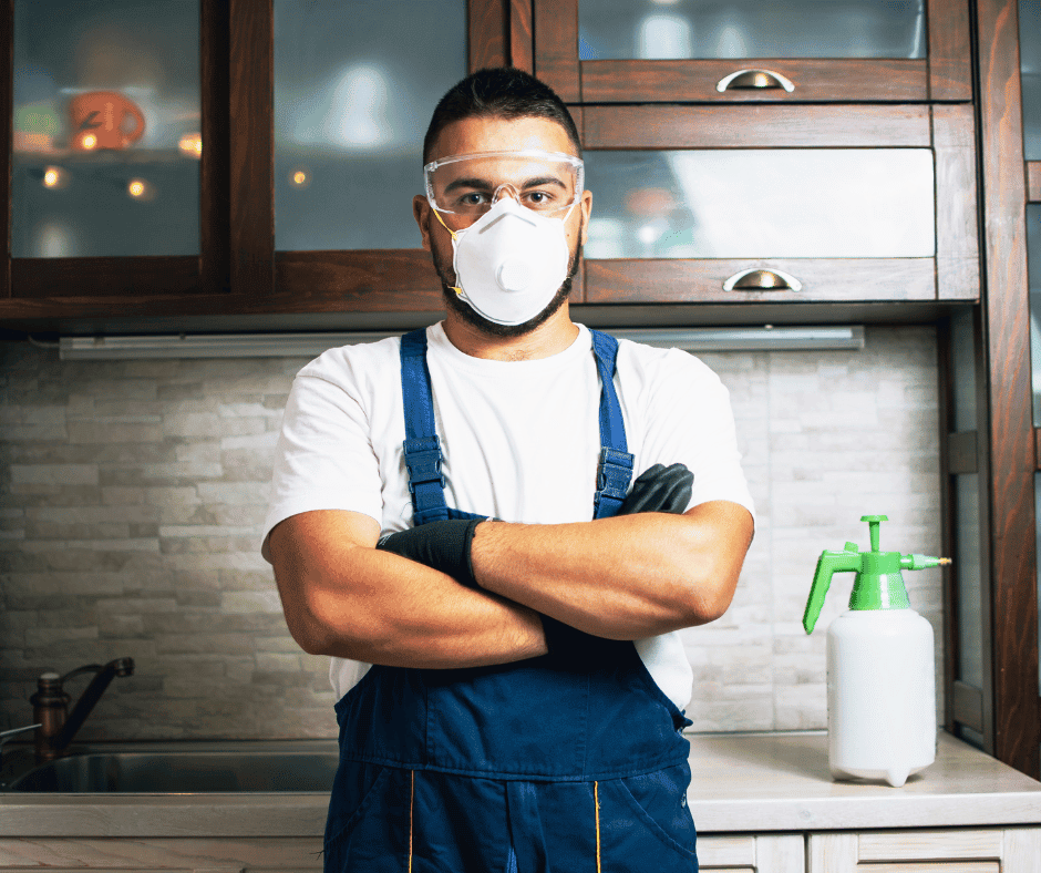 rodent exterminator portland oregon 