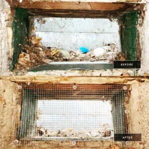 Blocked pest entry point before and after sealing with a metal screen to prevent pests from entering homes. Campbell Natural Pest Control specializes in safe, effective pest exclusion solutions.